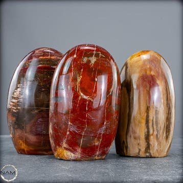 Prachtige set van versteend hout – Vrijvormen- 2060.37 g -