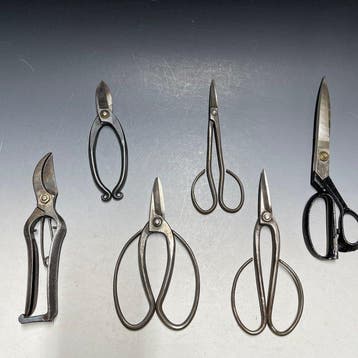 Flower Arrangement Bonsai Sentei | Japanese Scissors, Plant