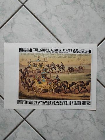 Anonymous - Lotto 8 Fogli Fronte/Retro Circo Storico Vintage