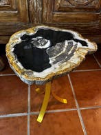 Salontafel - Versteend hout, Antiek en Kunst