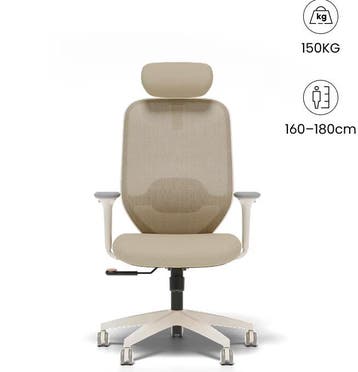 FLEXISPOT Ergonomische Bureaustoel met Eenvoudige Bediening, Verzenden