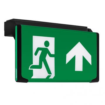 Famostar D-Sign Luminaire De Secours - 393820, Verzenden