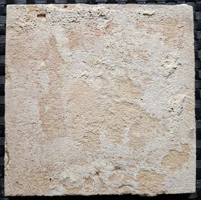 Carreau - Tuile antique avec une scène biblique.. -, Antiek en Kunst, Antiek | Glaswerk en Kristal