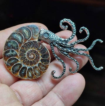 Geen reserveprijs Prachtige ammoniet hanger/broche