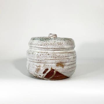Udagawa Seikoku (1940–2007, art name Genno) - Pot -