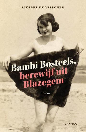 Bambi Bosteels, berewijf uit Blazegem 9789401424455, Verzenden, Gelezen, Liesbet De Visscher
