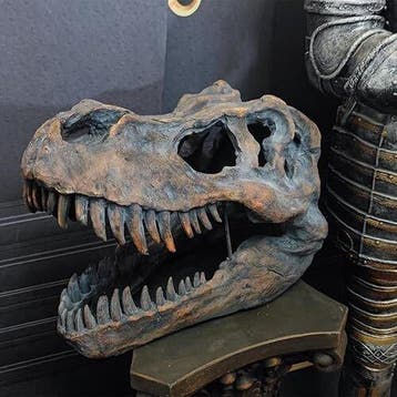 Wanddecoratie - T-rex-schedel wanddecor
