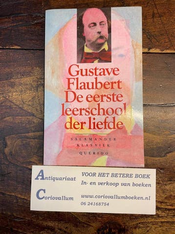 De eerste leerschool der liefde / Salamander Klassiek / 753, Boeken, Verzenden, Gelezen, Gustave Flaubert