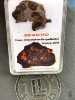 Sericho meteoriet Pallasiet - Hoogte: 2 mm - Breedte: 22 mm