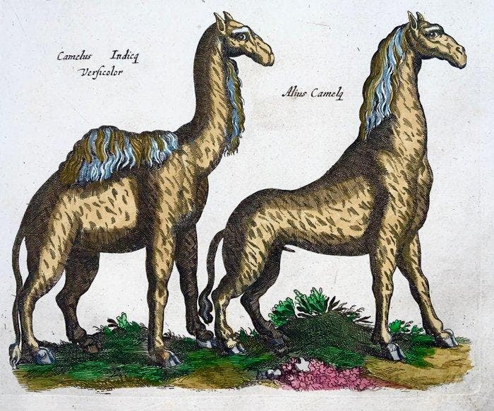 Matthäus Merian (b1593) - hand col. folio: Mythological, Antiek en Kunst, Antiek | Boeken en Manuscripten