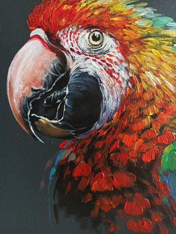 Tomasz Bednarski (1965) - Macaw parrot
