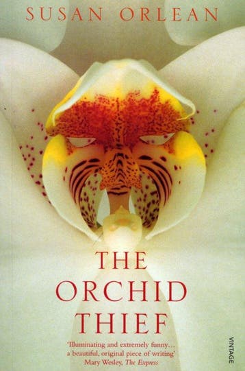 Orchid Thief 9780099289586 Susan Orlean, Verzenden, Zo goed als nieuw, Susan Orlean