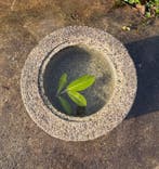 cilindrische waterbak - Graniet - Japan - Shwa periode