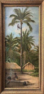 Dr Laurent (XIX) - La récolte du malafou, 1893