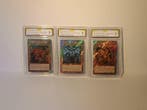 Konami - 3 Card - Yu-Gi-Oh! - The Winged Dragon of Ra,, Nieuw