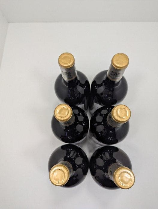 2020 Marqués de Riscal - Rioja Reserva - 6 Magnums (1.5L), Verzamelen, Wijnen