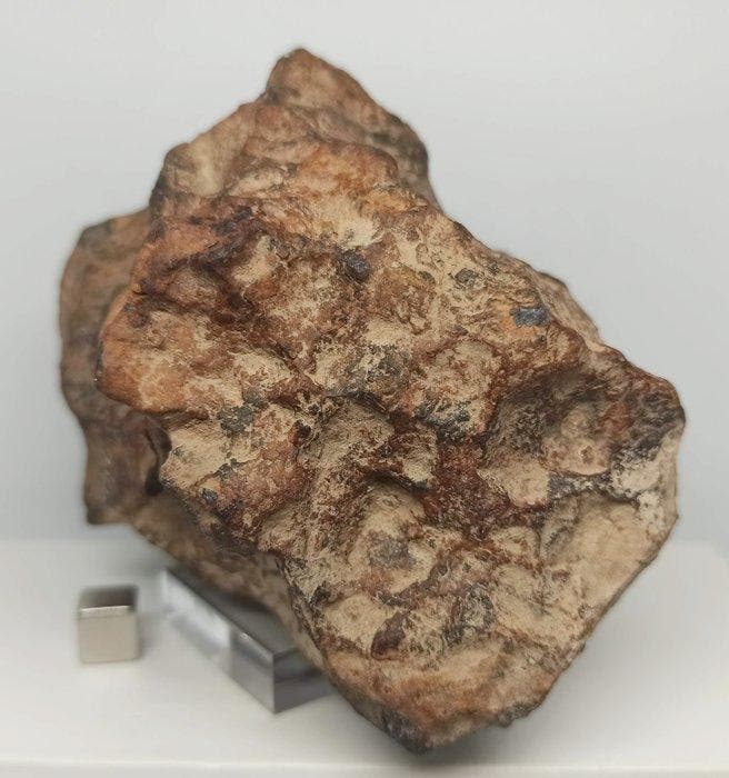 Canyon Diablo (USA, 50.000 jaar). Natuurlijke patina, zoals, Collections, Minéraux & Fossiles