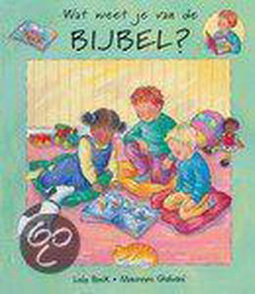 WAT WEET JE VAN DE BIJBEL? 9789058293367 Lois Rock, Livres, Livres pour enfants | 0 an et plus, Verzenden, Lois Rock
