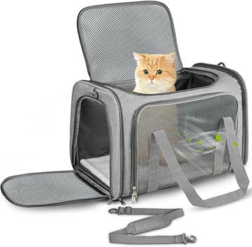 Toffcaea Transporttas 50cm | Retour Deal | -23% Korting!, Verzenden, Zo goed als nieuw