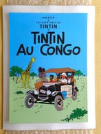 Tintin - Sérigraphies Hergé/Tintinimaginatio - Tintin au, Livres, BD