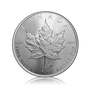 Zilveren Maple Leaf munt 2026 1 troy ounce