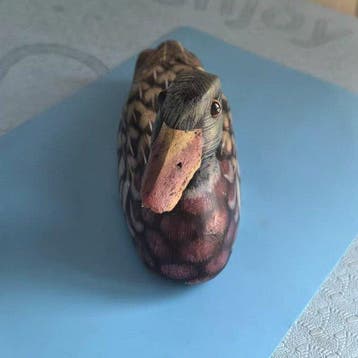 Collection sur le thème des animaux