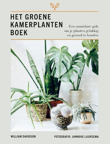 Het groene kamerplanten boek 9789043923705 William Davidson, Boeken, Verzenden, Zo goed als nieuw, William Davidson