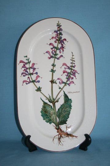 Villeroy & Boch - Meadow sage (Salvia pratensis) -