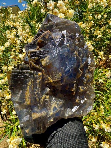 Betoverende fluoriet Kristal op matrix - Hoogte: 20 cm -
