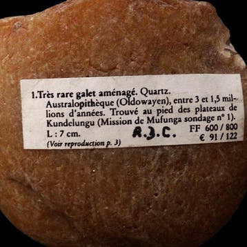 Paleolithisch - Zeer zeldzame Australopithecus-kei -