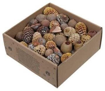 Leucodendron assortiment Naturelkleuren 640 gram, Nieuw