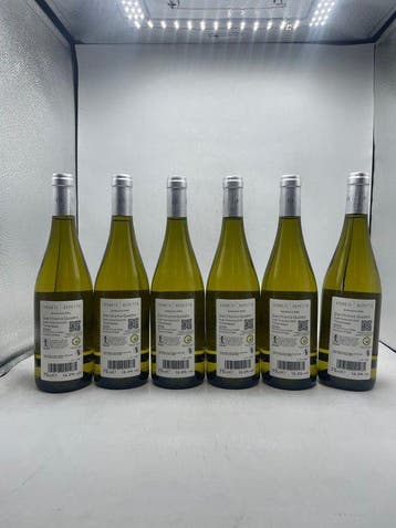 2024 Vigneti Repetto Quadro Derthona Timorasso - Piëmont - 6, Nieuw
