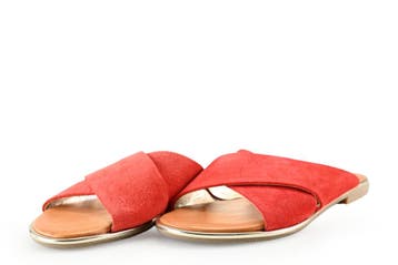 Hampton Bays Slippers in maat 36 Rood, Verzenden, Slippers