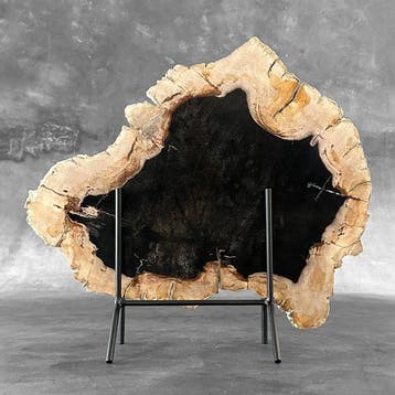 C - Belle tranche de bois pétrifié sur un support sur mesure