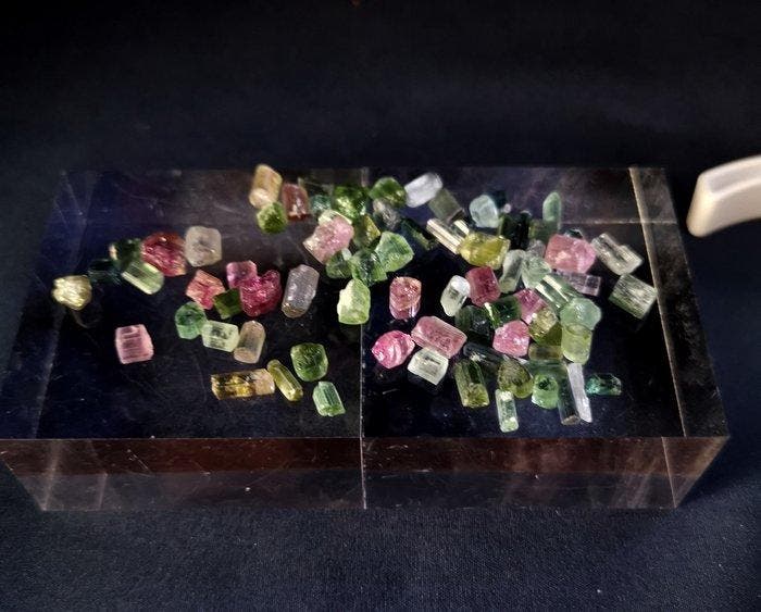 Tourmaline) Kristalen- 11.96 g - (1), Collections, Minéraux & Fossiles