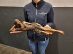 Statue, Bronze Reclining Lady 54cm - 0 cm - Bronze - 2026, Antiquités & Art