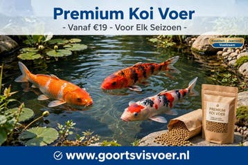 Premium Koi Voer-Voor Stralende Kleuren en Vitale Koi, Animaux & Accessoires, Ophalen of Verzenden