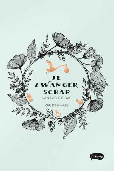 Je zwangerschap van dag tot dag 9789045322193, Boeken, Stripverhalen, Gelezen, Verzenden