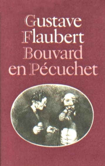 Bouvard en Pécuchet 9789029517201 Gustave Flaubert, Boeken, Verzenden, Gelezen, Gustave Flaubert