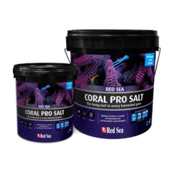 Red Sea Coral Pro zout 22 kg emmer, Dieren en Toebehoren, Verzenden, Nieuw