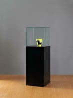 *TIP* Sokkelvitrine SV1 500 zwart met stolp, Ophalen of Verzenden