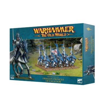 High Elves Realms Dragon Princes of Caledor (Warhammer Age, Ophalen of Verzenden