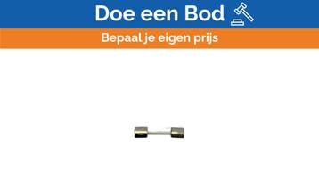 Bieden: SIBA 0179020.6.3 Fast Acting Glass Tube, Ophalen of Verzenden