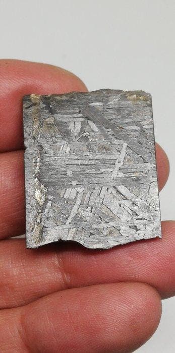 Prachtige meteoriet uit Aletai. Zonder minimumprijs!!! IJzer