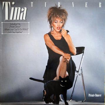 Tina Turner - Private Dancer, Verzenden, Gebruikt