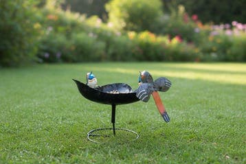 Vasque pour oiseaux - Acier - Directement dAfrique !, Antiquités & Art