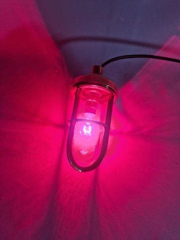 IR- Industria Rotterdam Gangway light, Ships lamp - Glas,, Antiek en Kunst