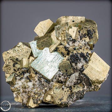 Rare AAA++ Pyrite dorée naturelle et galène Crystalcluster-