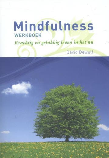 Mindfulness werkboek 9789082428308 David Dewulf, Verzenden, David Dewulf