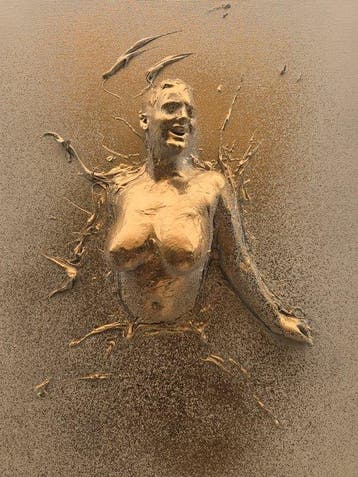 Nicole Lubbers - Spirit Emerging